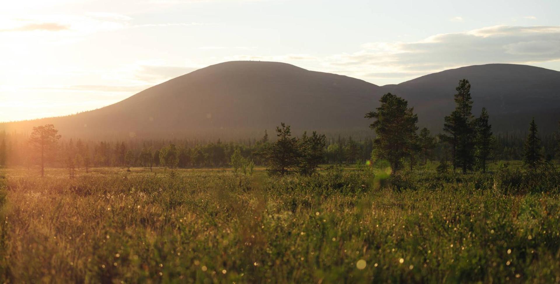 Lapland Hotels Pallas Pallastunturi Exterior foto